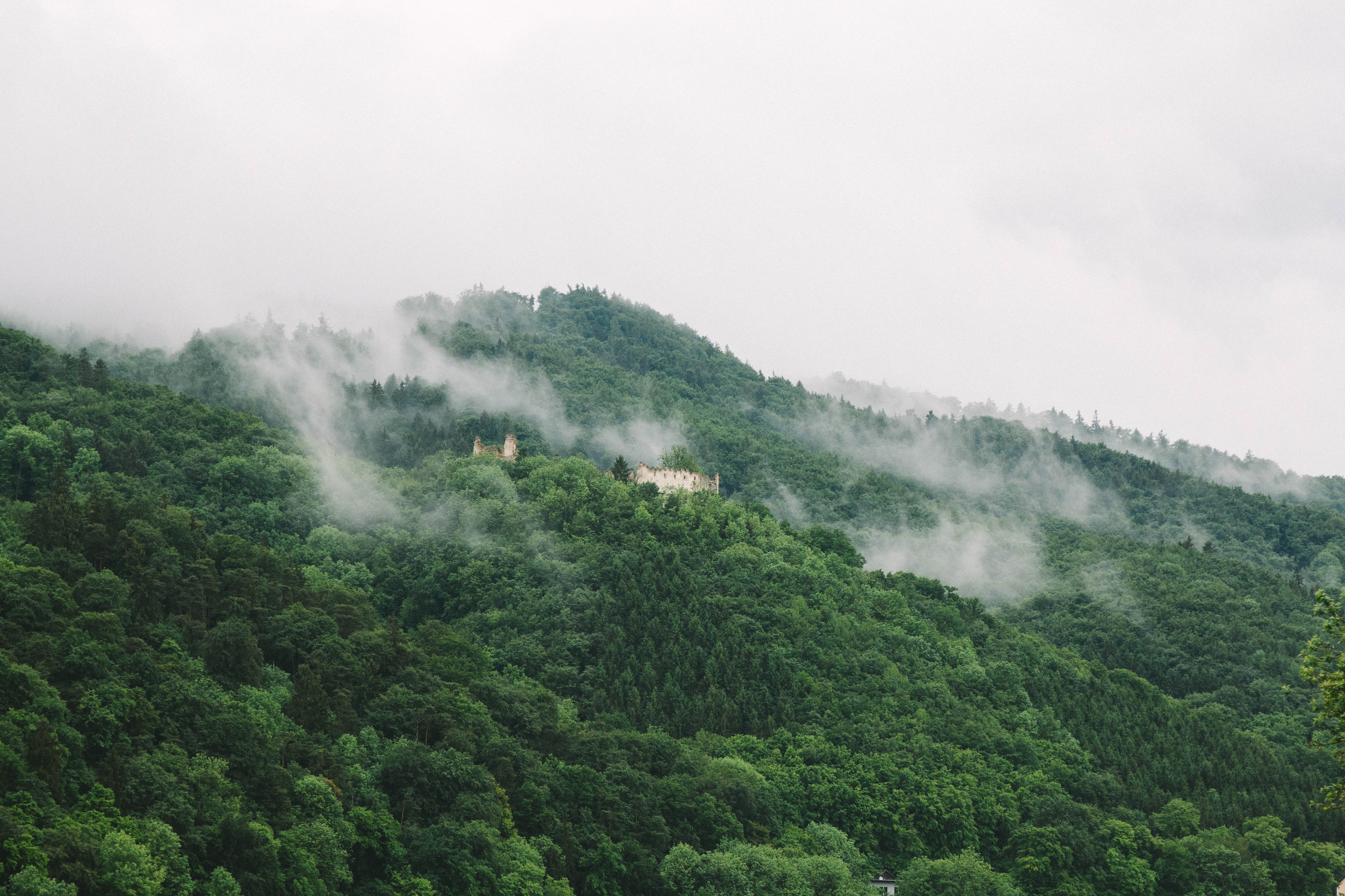 Бесплатное фото Остатки дворца на холму среди густого леса