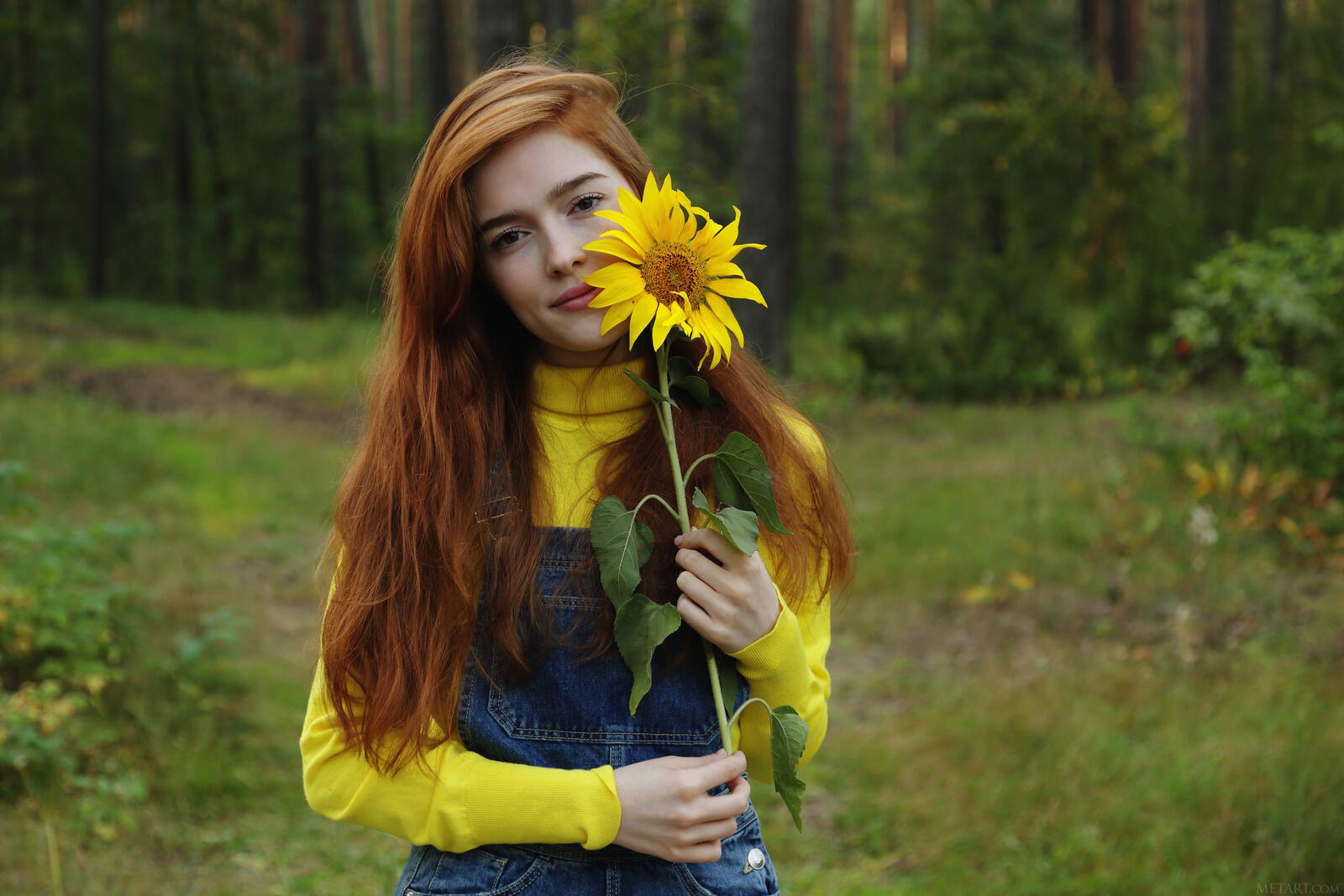 Бесплатное фото Рыжая девушка в лесу с подсолнухом