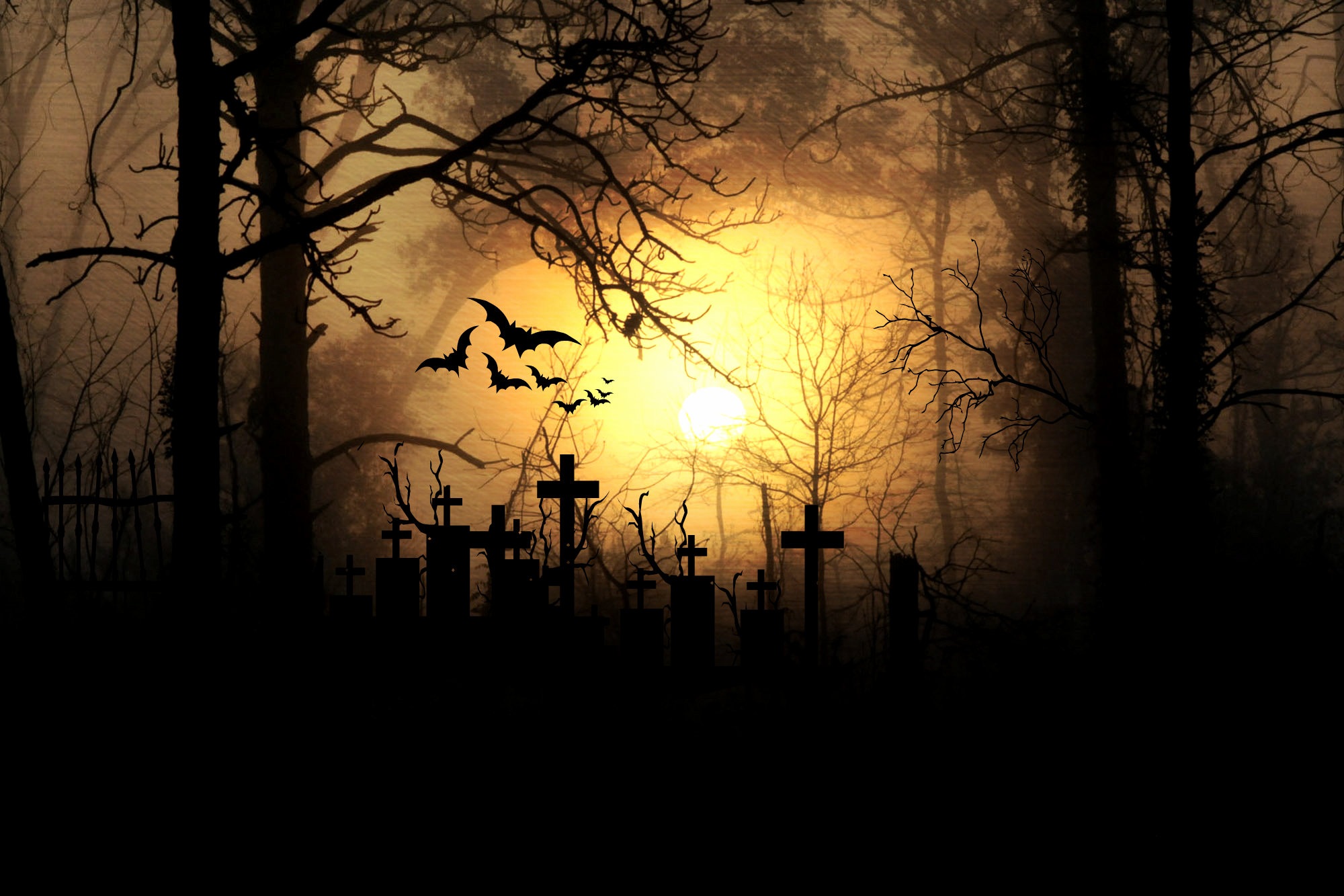 Бесплатное фото Силуэт крестов на фоне света в мрачном лесу