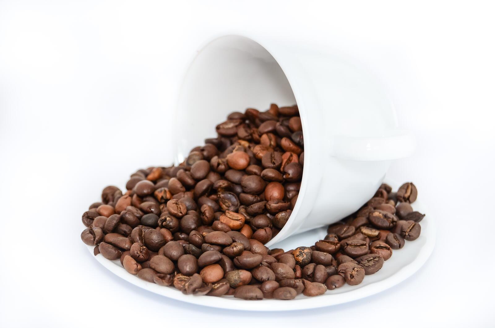 Бесплатное фото Чашка белого цвета с зернами кофе