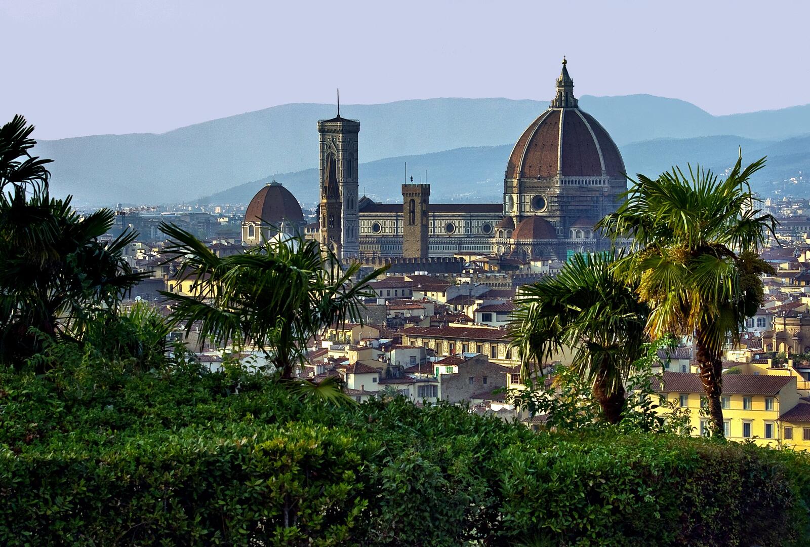 Free photo View of the Italian city from the green field