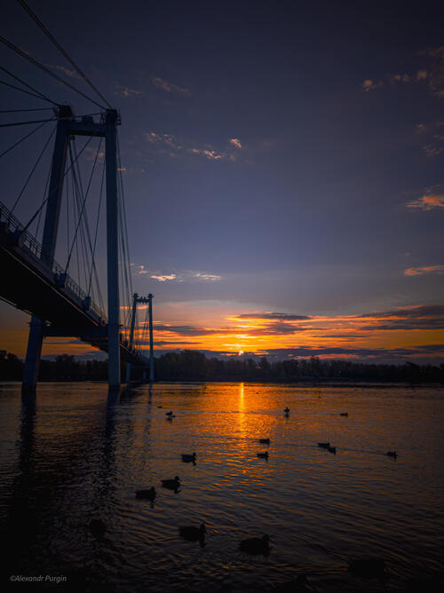 Восход солнца на реке с утками