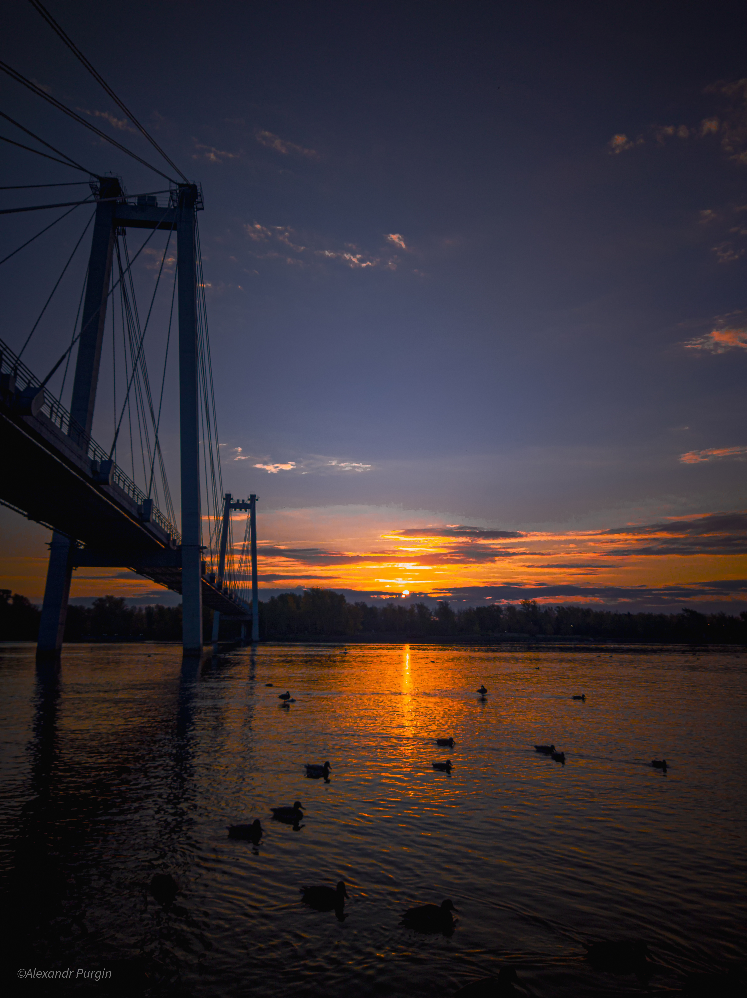Бесплатное фото Восход солнца на реке с утками