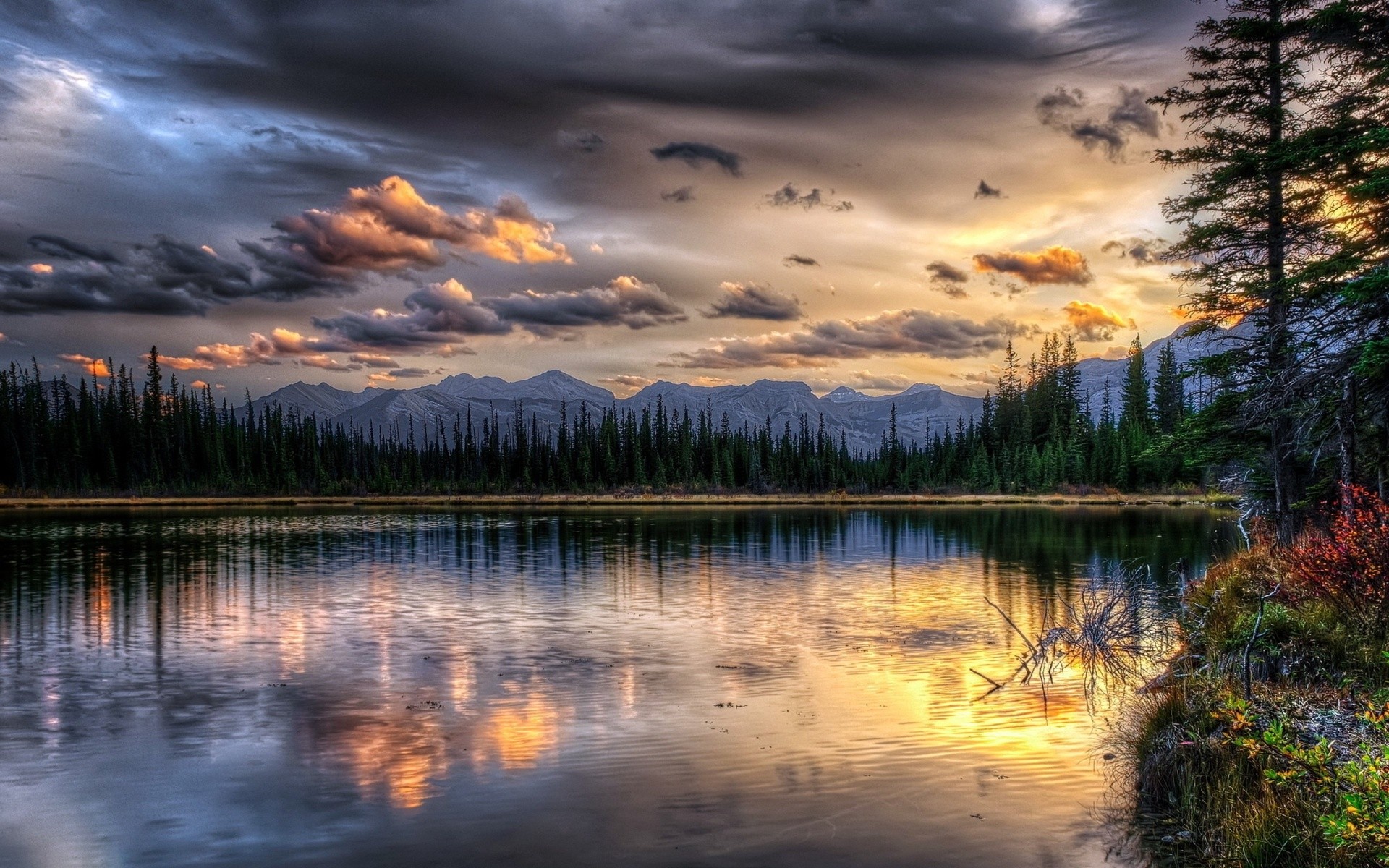 Бесплатное фото Большое озеро окруженное деревьями