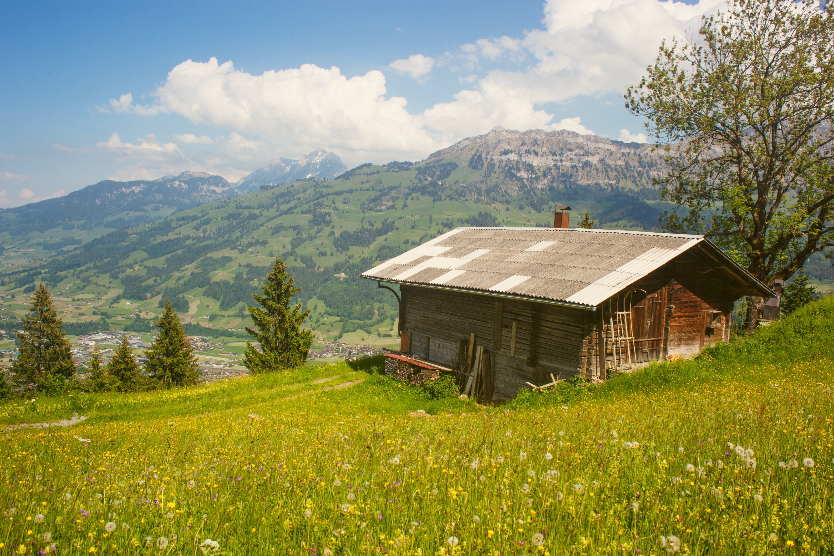 An abandoned cabin in a field with mountains in the background