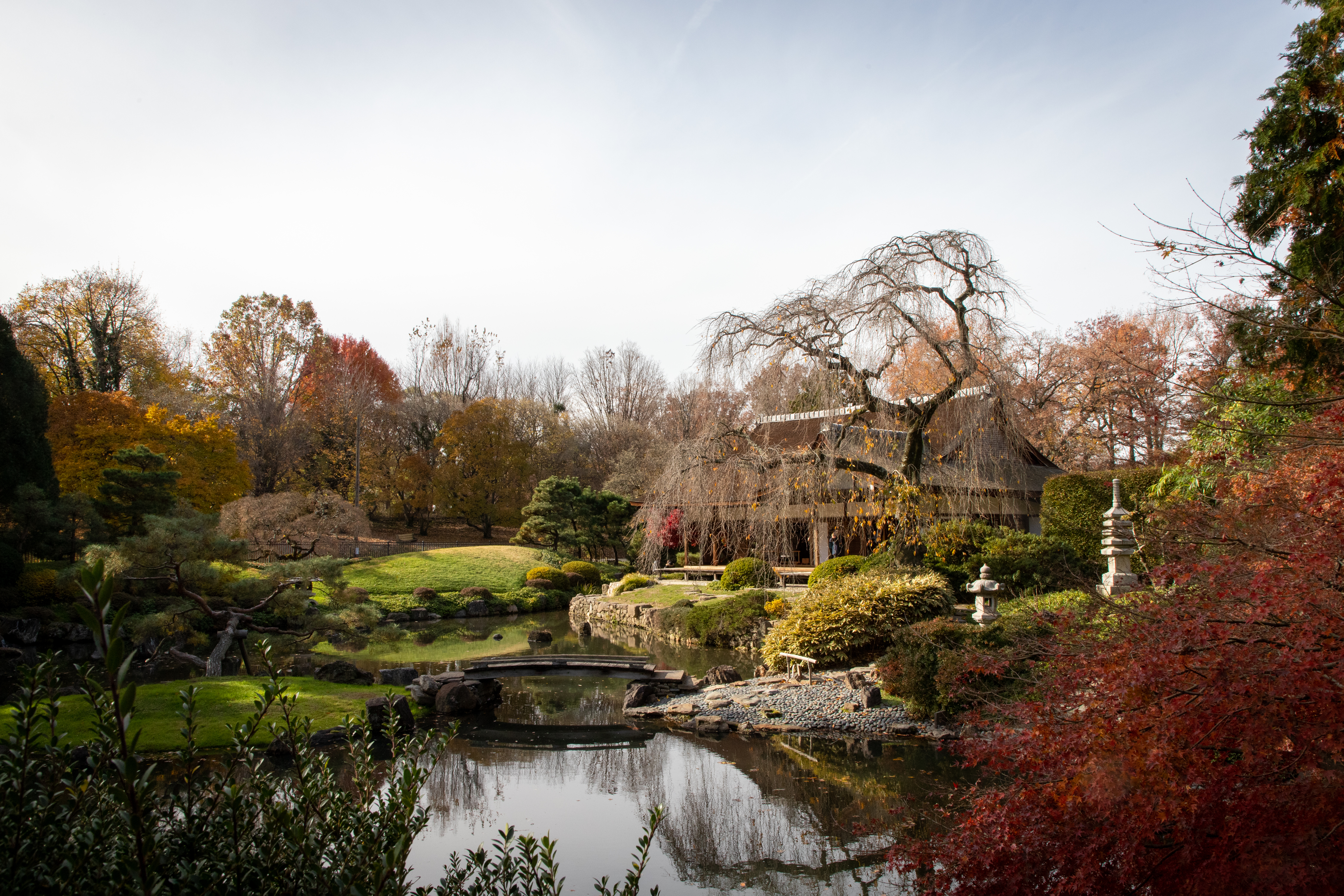 免费照片美丽的秋季日本公园