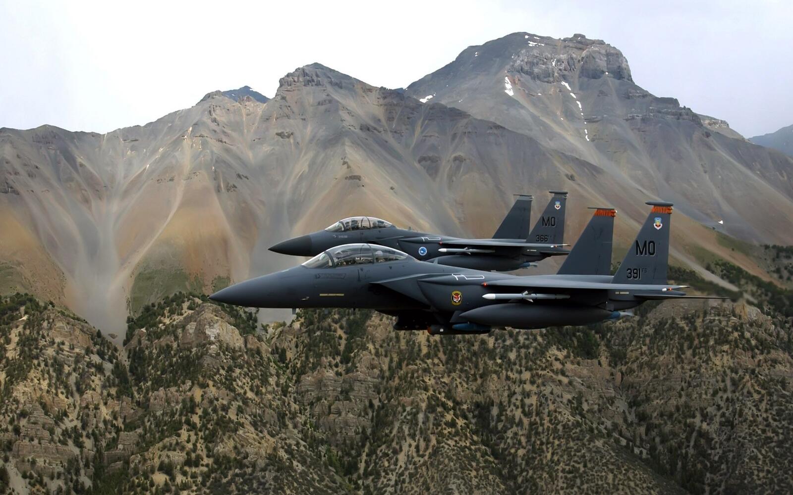 免费照片两架黑色麦道 F15 雄鹰战斗机。
