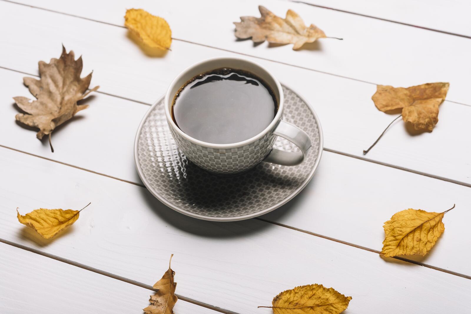 Wallpapers wallpaper coffee cup dried leaves on the desktop