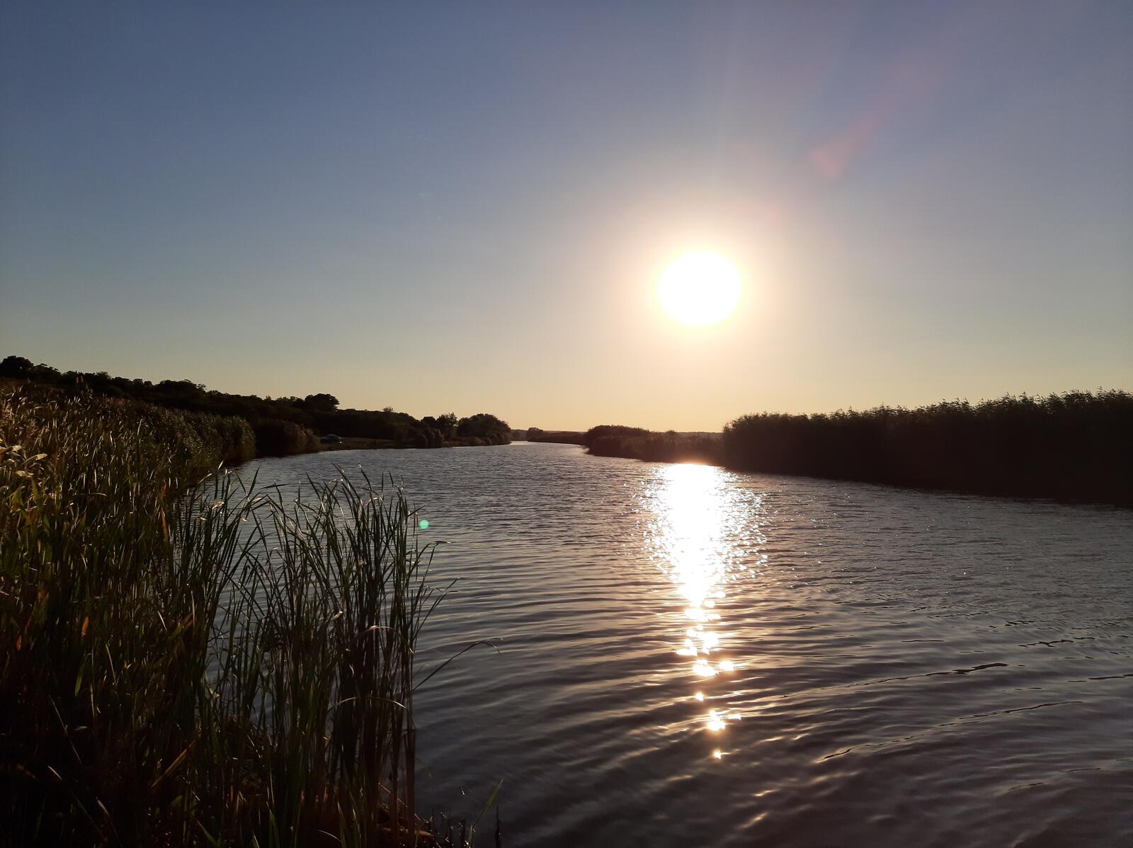 Бесплатное фото Красивая природа с солнцем летом на речке