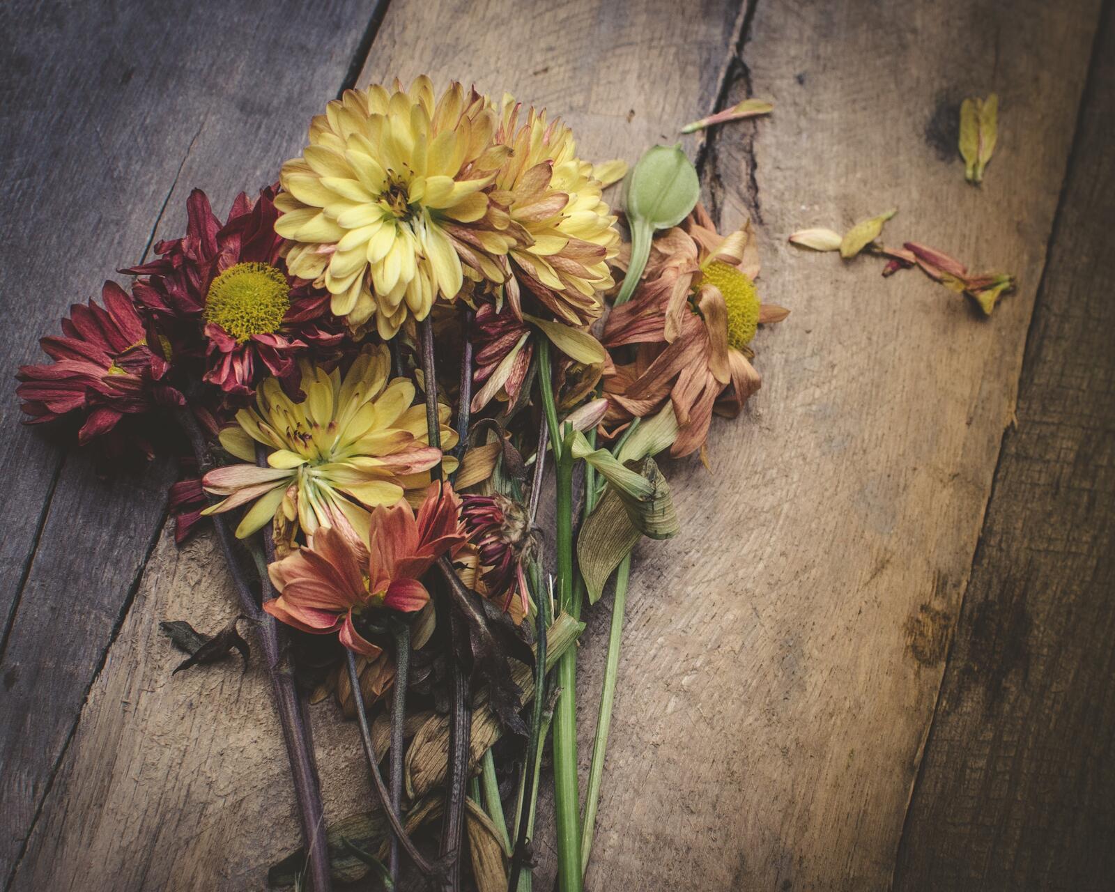Бесплатное фото Цветы лежащие на деревянном полу