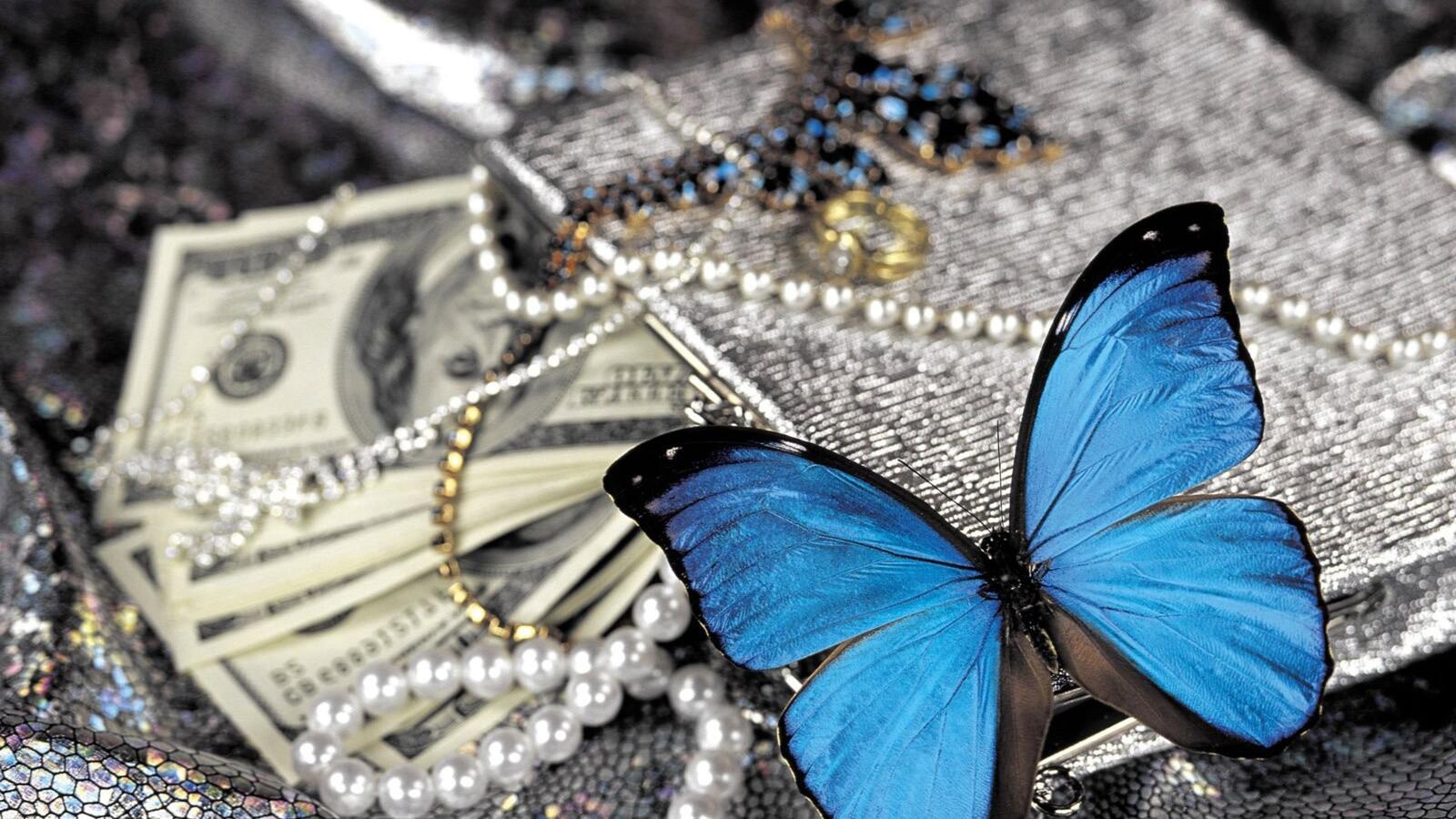 Бесплатное фото Голубая бабочка сидит на драгоценностях