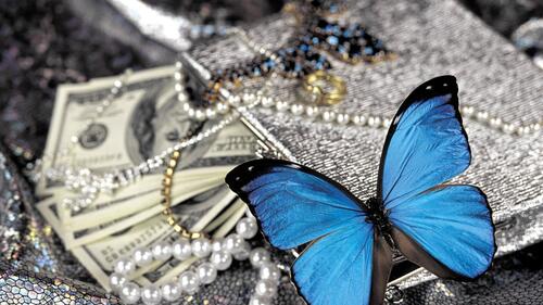 A blue butterfly sits on the jewels