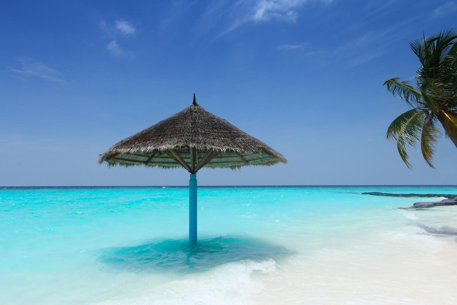 免费照片沙滩上矗立着一把太阳伞