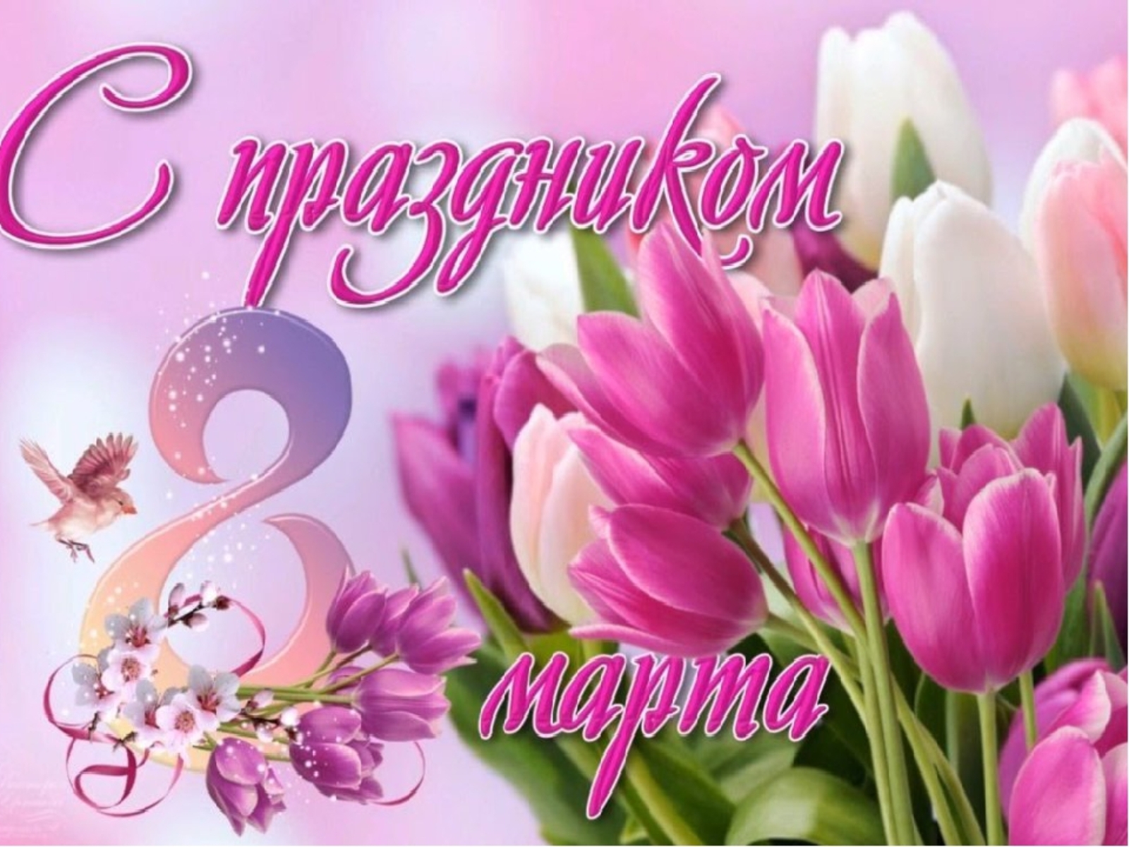 Бесплатная открытка Розовый букет тюльпанов на 8 марта