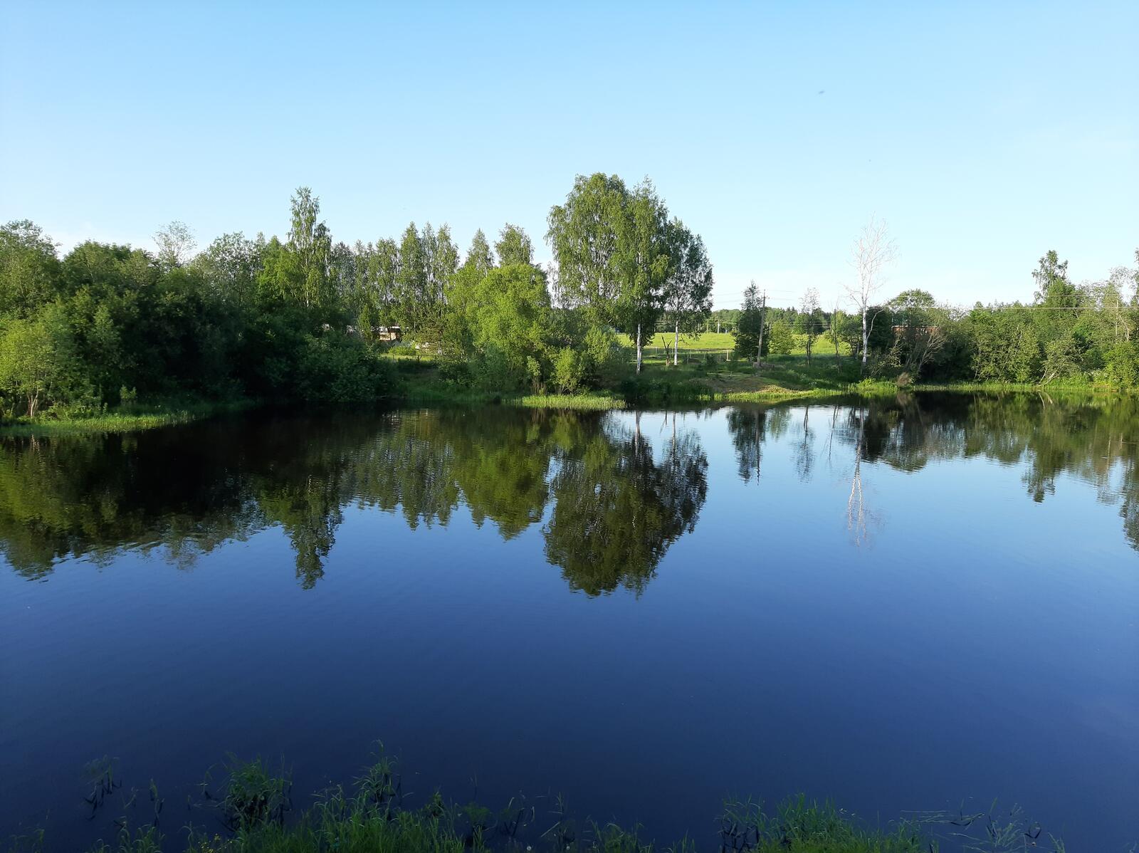 Бесплатное фото Голубое озеро в ясную погоду с отражением деревьев и неба