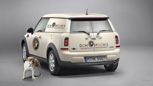 The dog next to the mini cooper