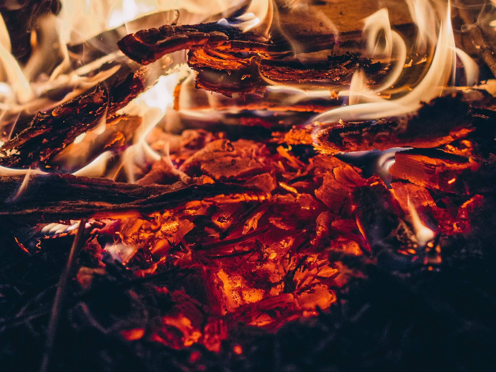 Бесплатное фото Деревяшки тлеющие в огне