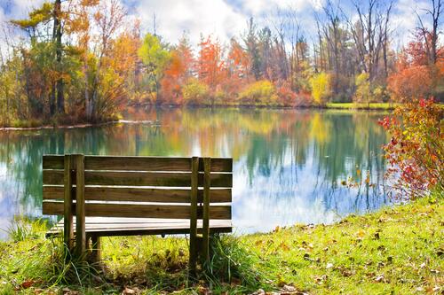 Деревянная скамейка на берегу реки осенью