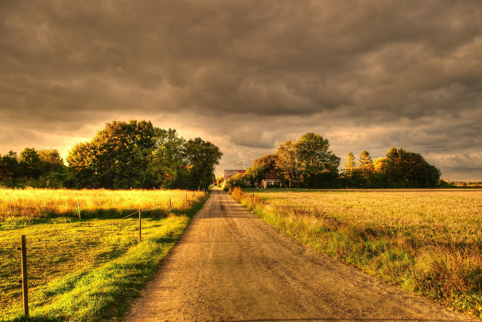 Бесплатное фото Грунтовая дорога в поле