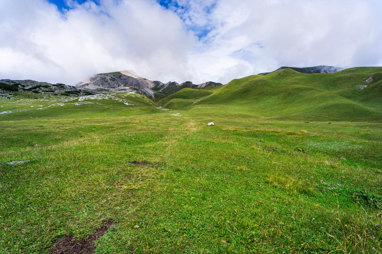 Бесплатное фото Большая зеленая лужайка в горах