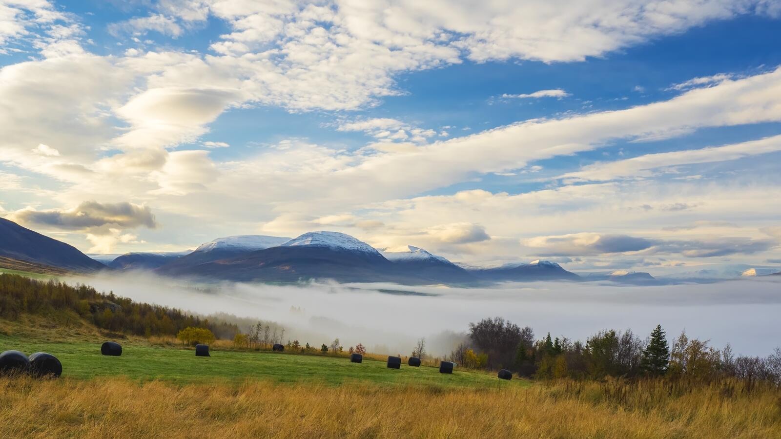 免费照片从绿地上眺望雾蒙蒙的景色