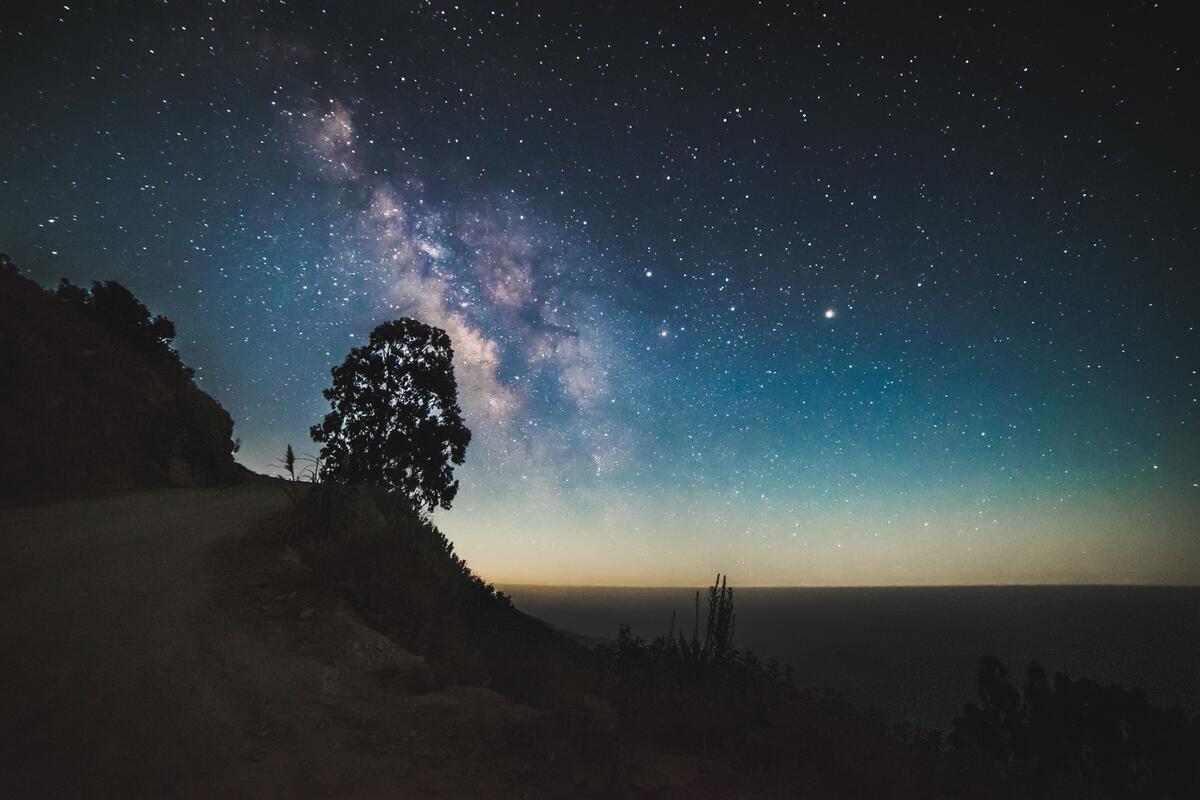 Силуэт дерева в ночное время суток на фоне звездного неба