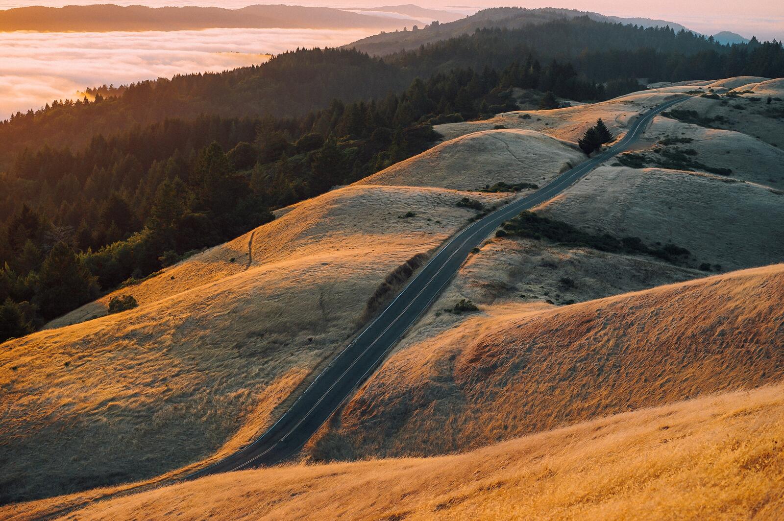 免费照片日落时分，一条长长的柏油路蜿蜒穿过森林旁的山丘