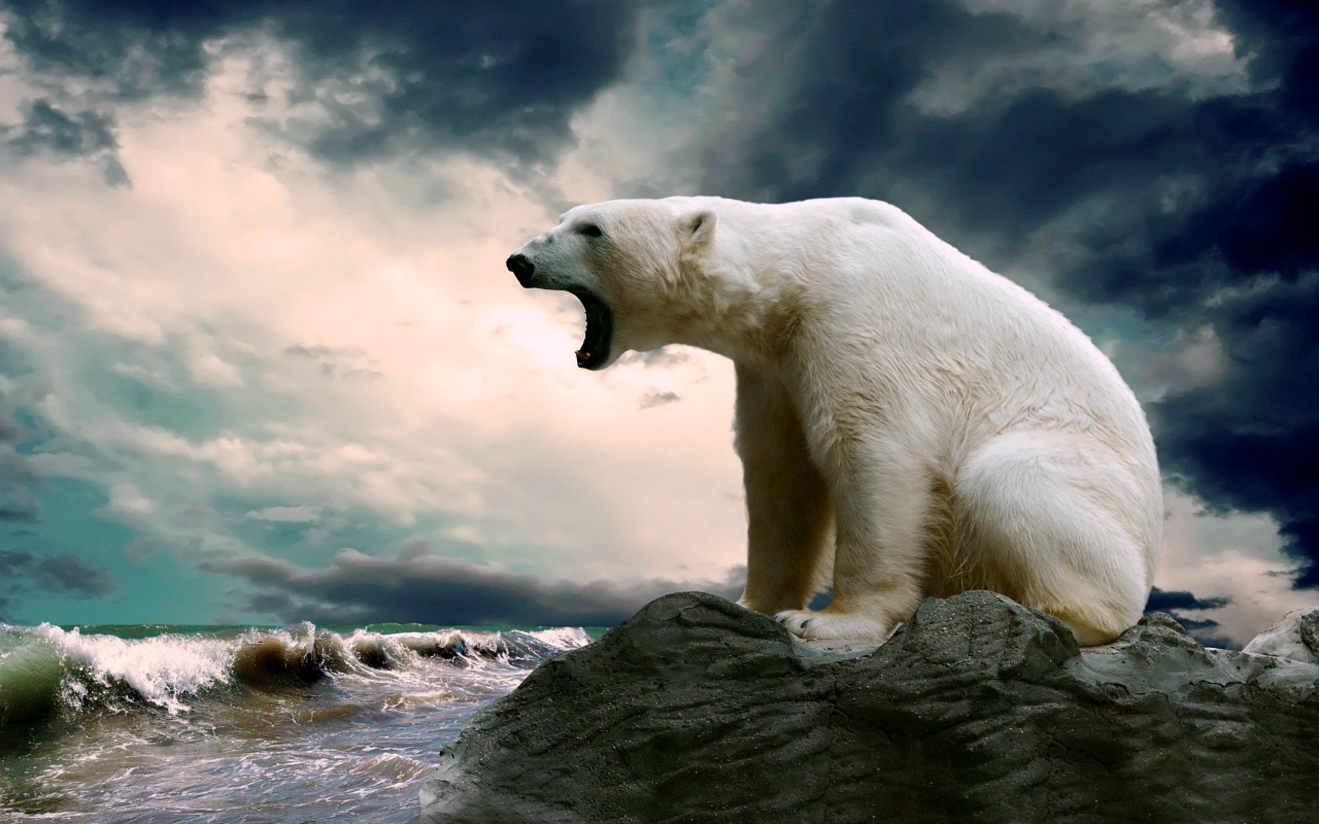 一只北极熊坐在水边