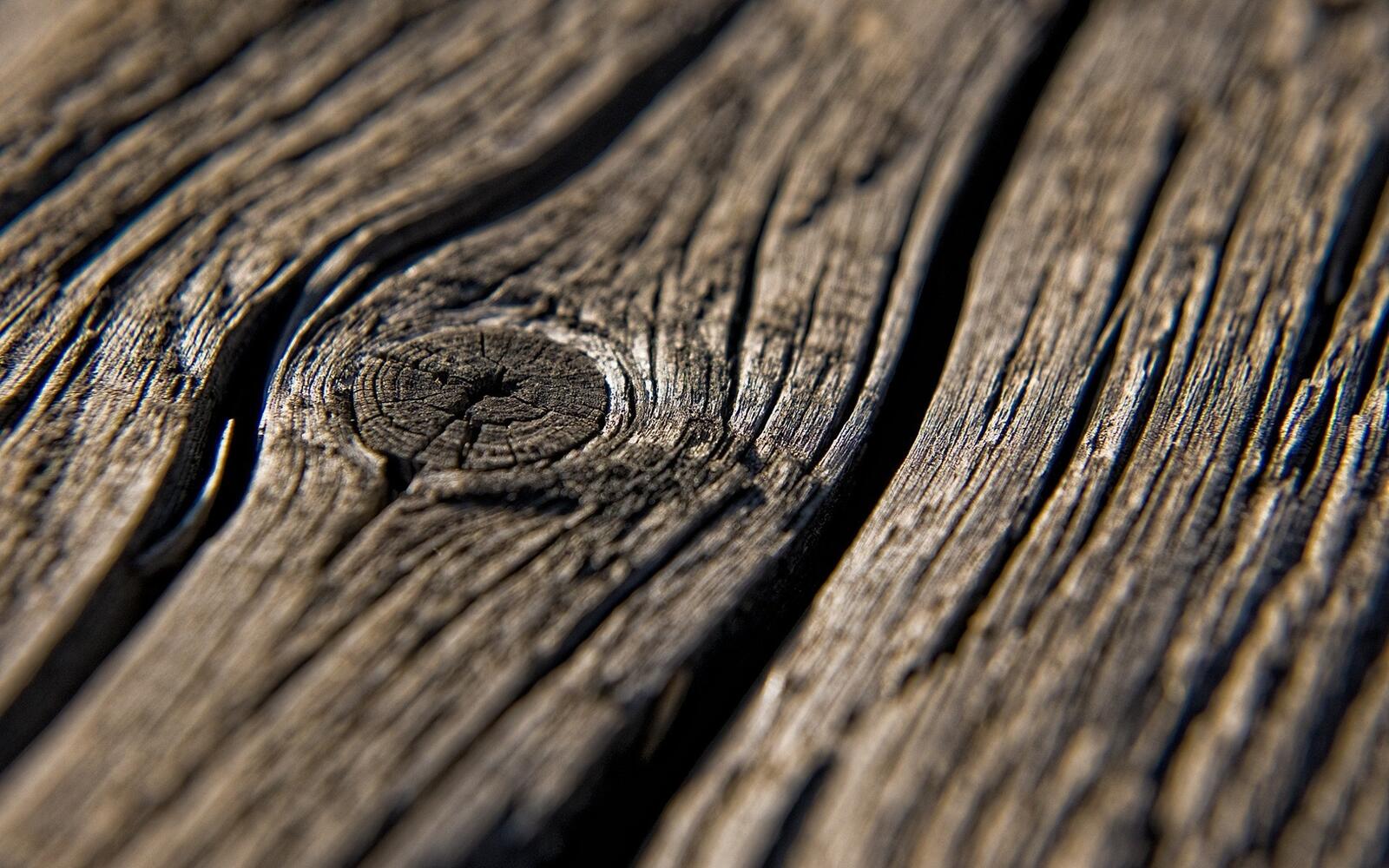 Free photo Old wood texture in close-up