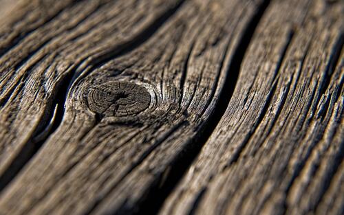 Old wood texture in close-up