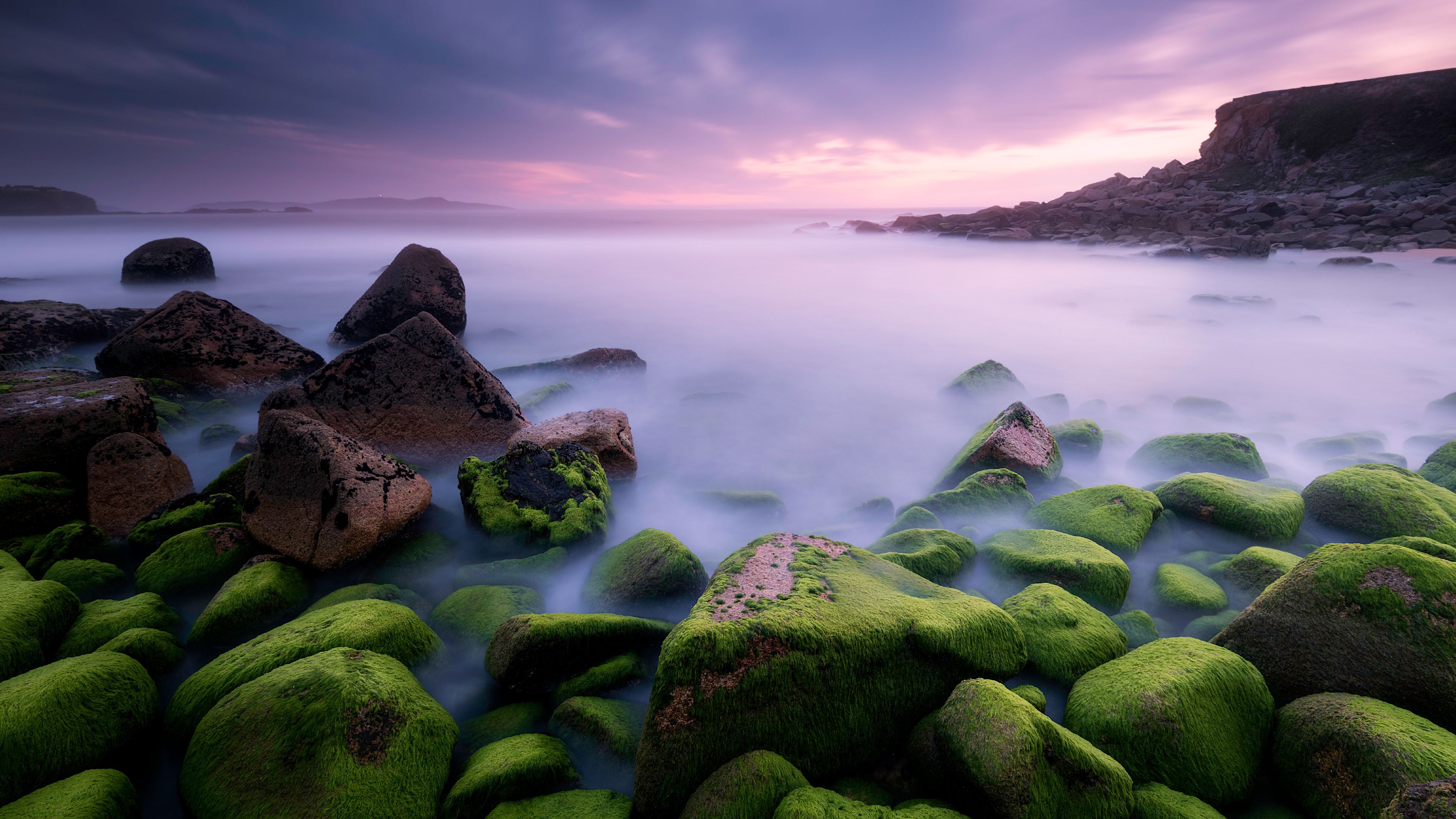 Камни покрытые мхом на берегу моря