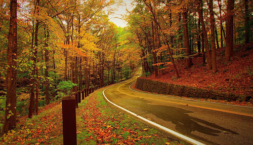 The road through the fall forest