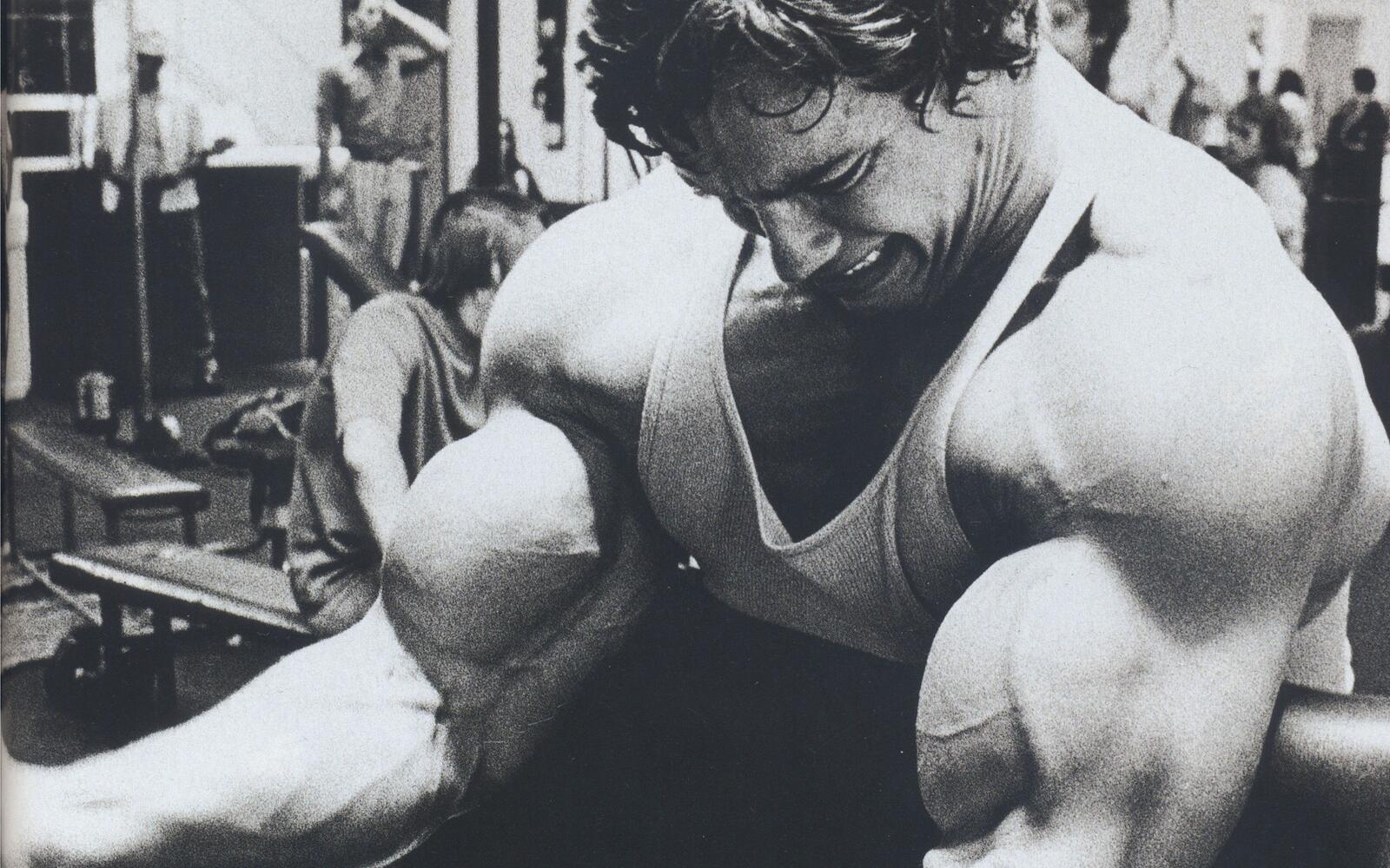 Free photo Arnold Schwarzenegger in a monochrome photo