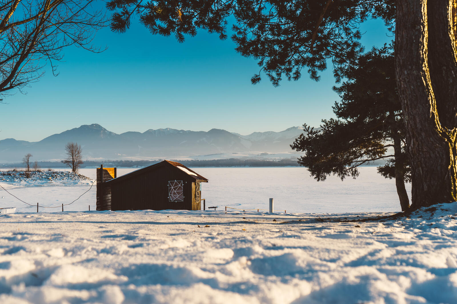 免费照片多明戈在冬天被雪覆盖的田野上