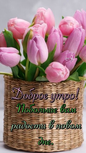 Free postcard A basket of pink tulips