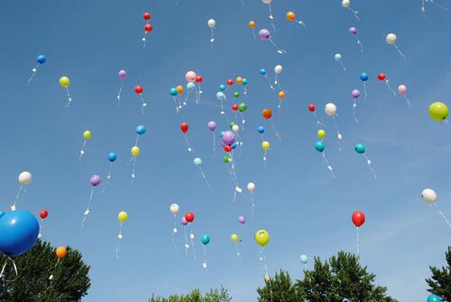 Colored balloons rise into the sky