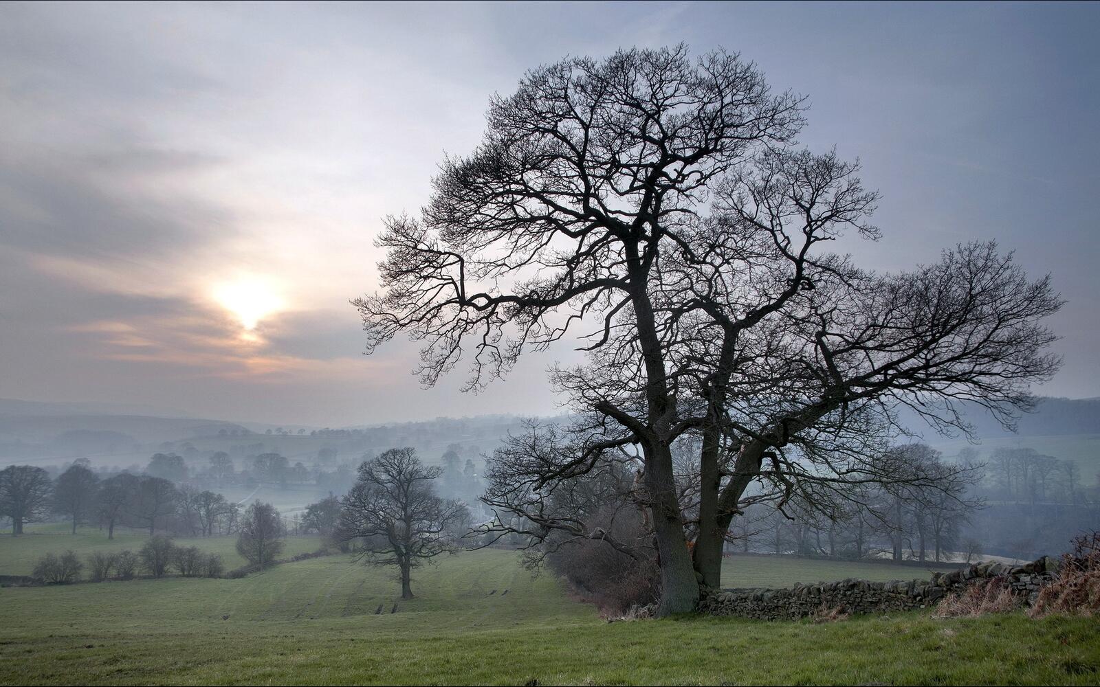 Free photo Sunrise in a hilly field