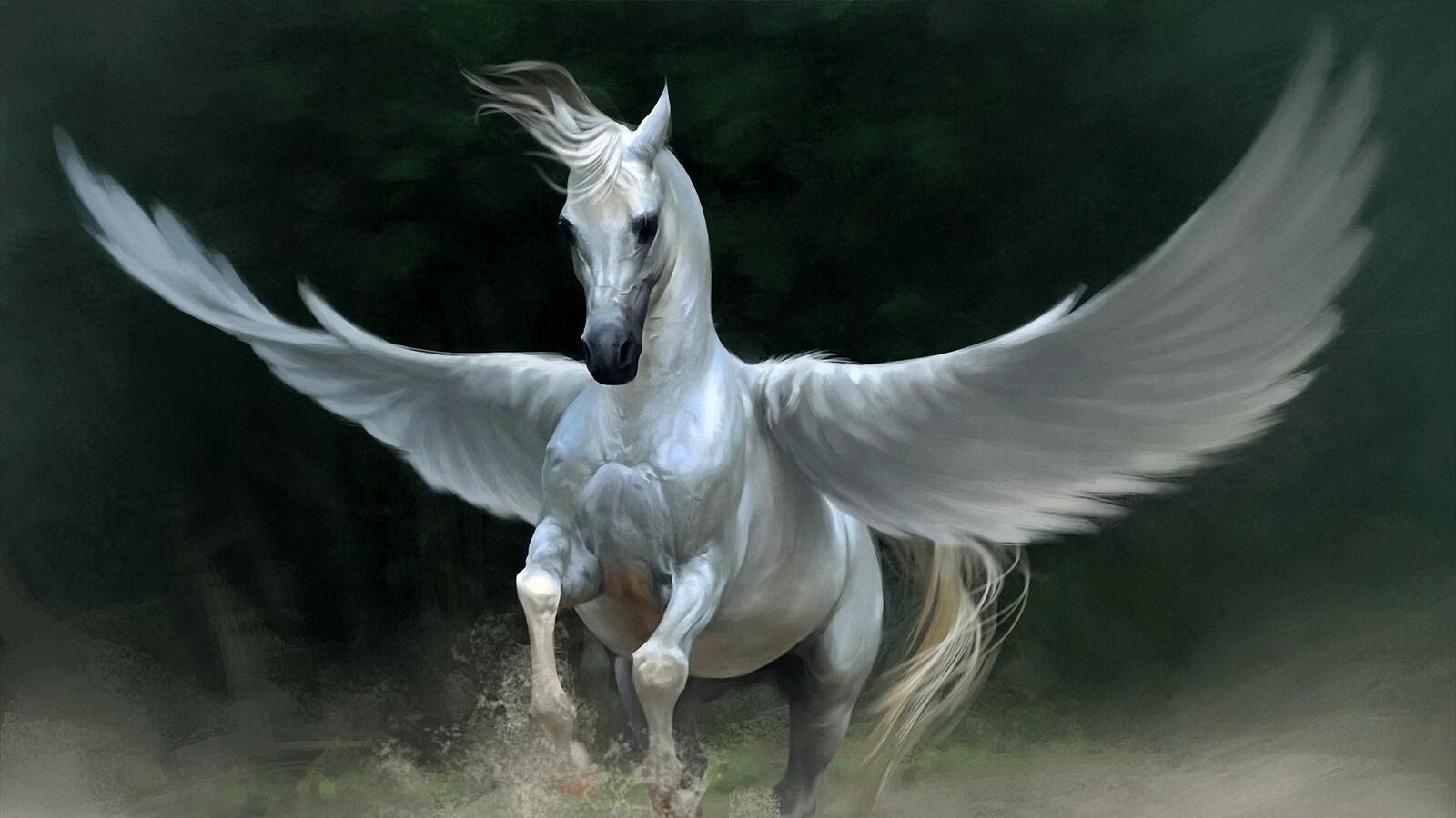 Free photo Pegasus on a green background