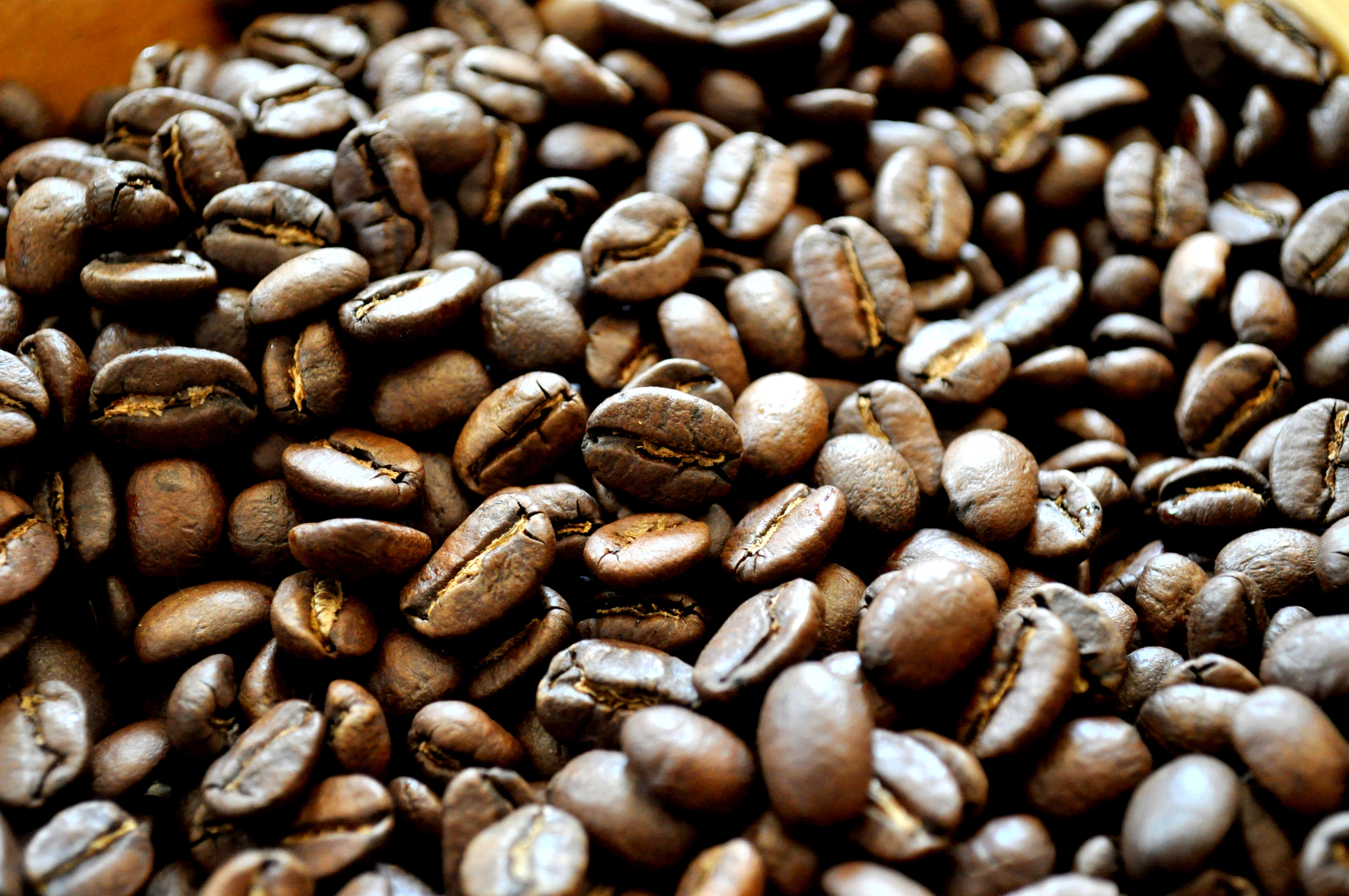 Free photo Scattered coffee beans close-up