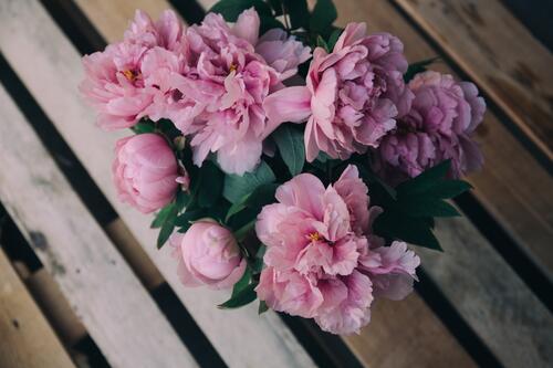 A blossoming bouquet of pink flowers