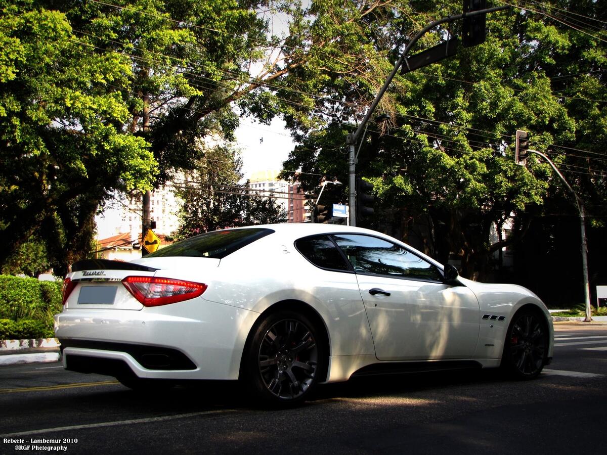 Maserati белого цвета вид сзади