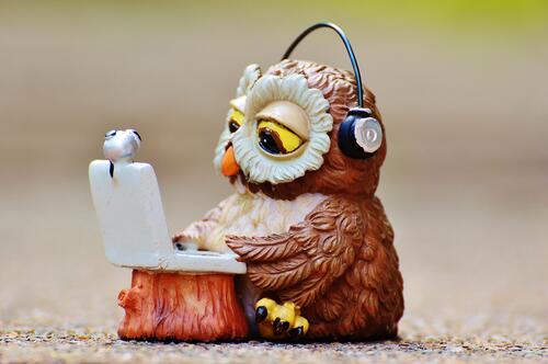 An owl wearing headphones listens to music on a laptop