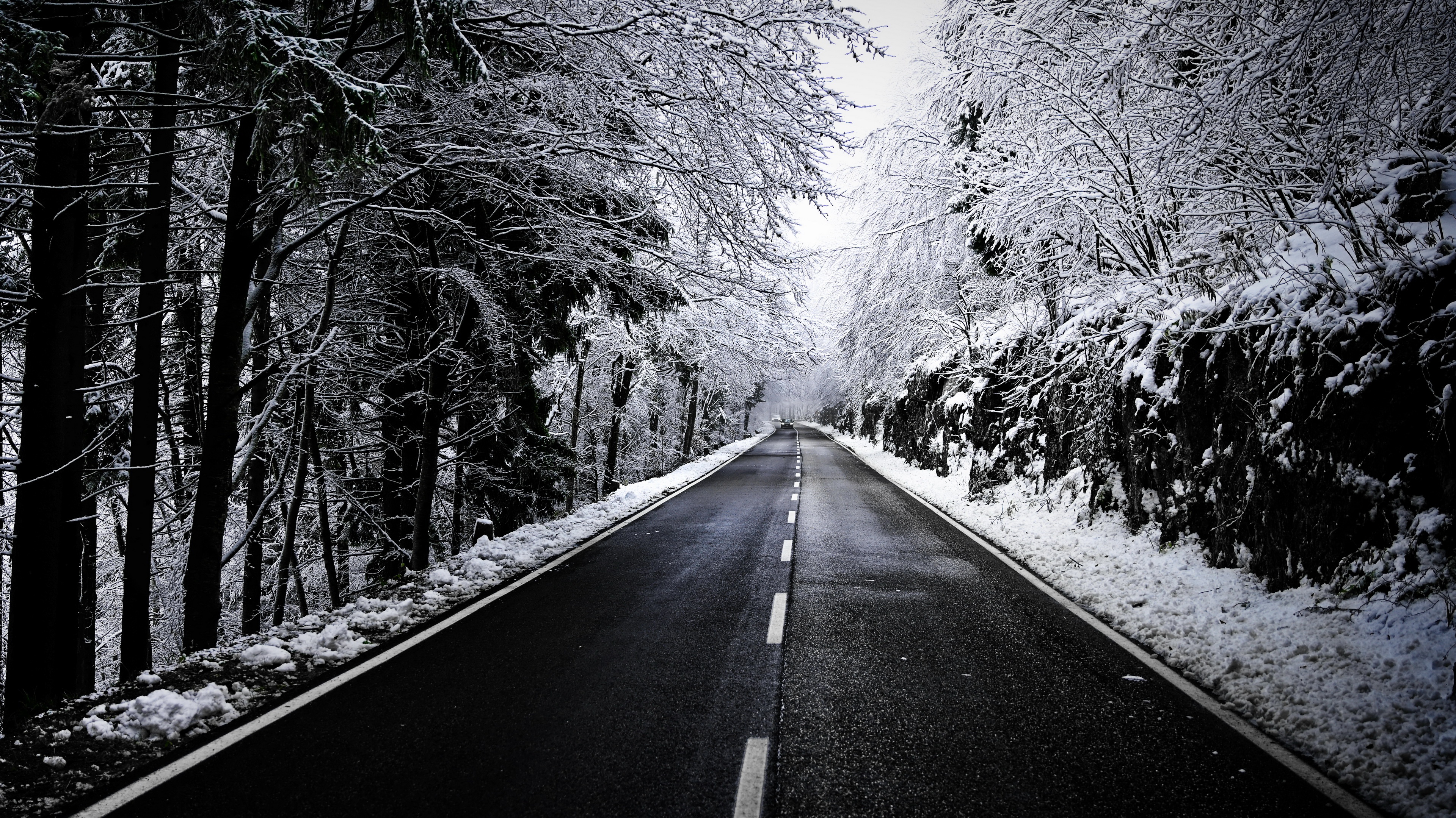 Asphalt road along the forest in the winter season