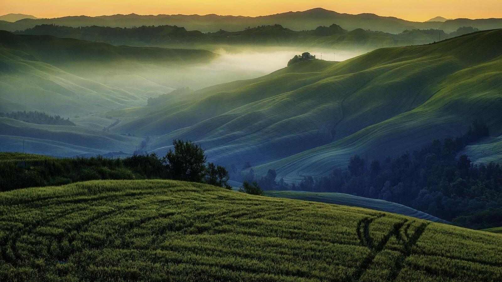 Бесплатное фото Зеленые холмы с утренним туманом
