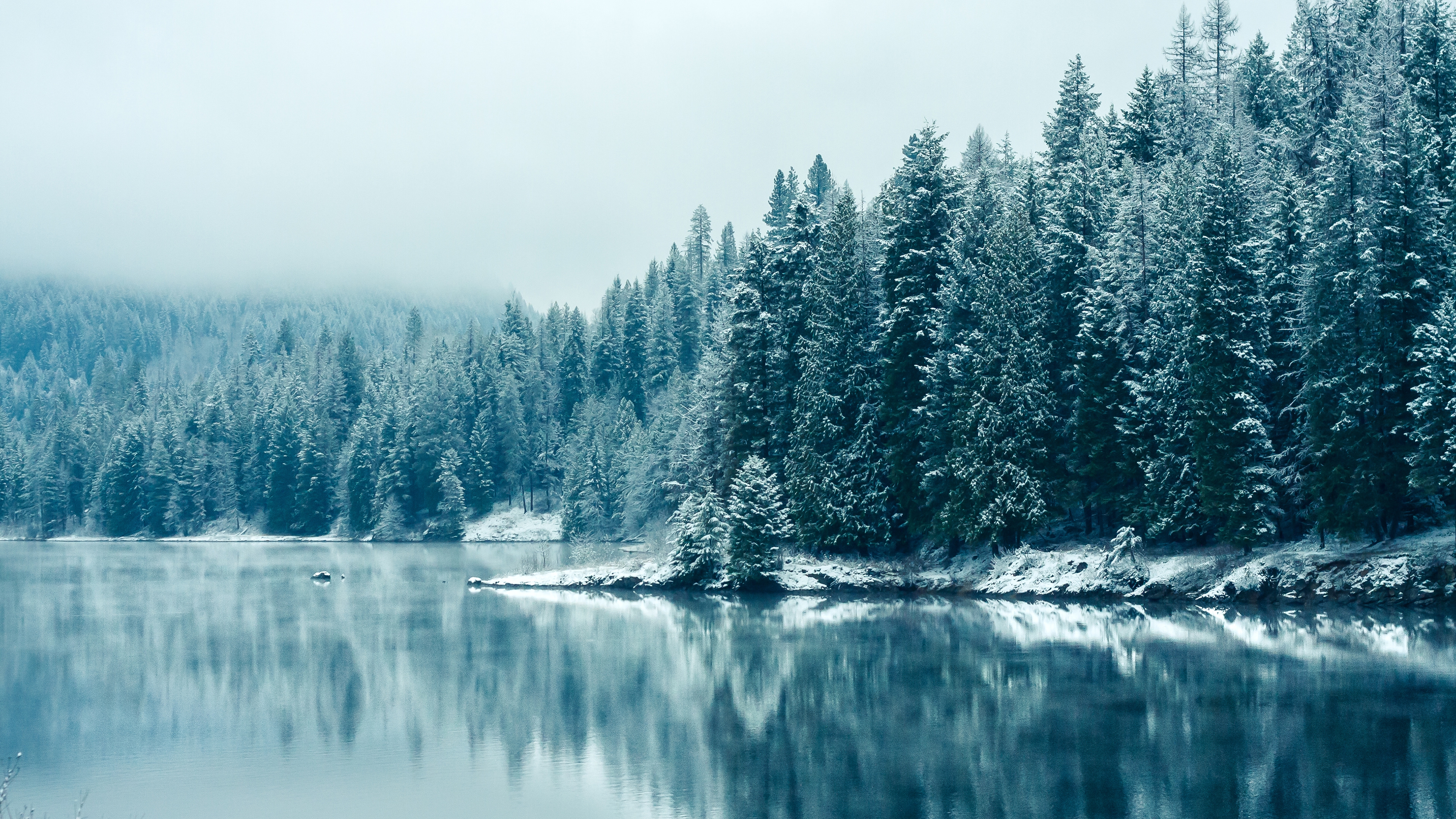 免费照片湖岸上的第一场秋雪