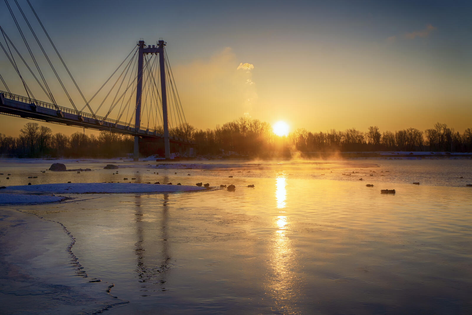 Бесплатное фото Восход солнца в морозное утро