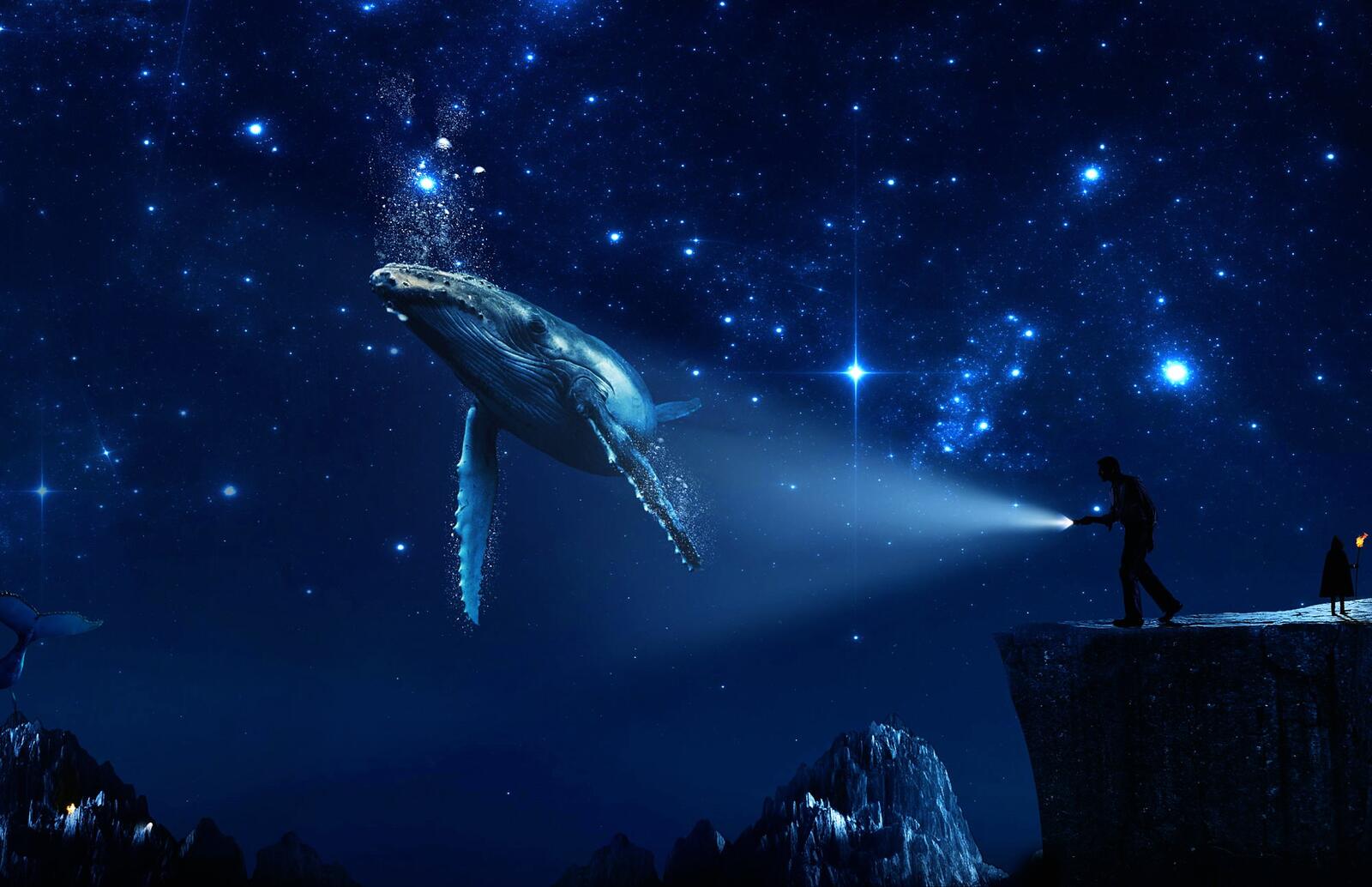 Wallpapers flying whale digital art dreams on the desktop