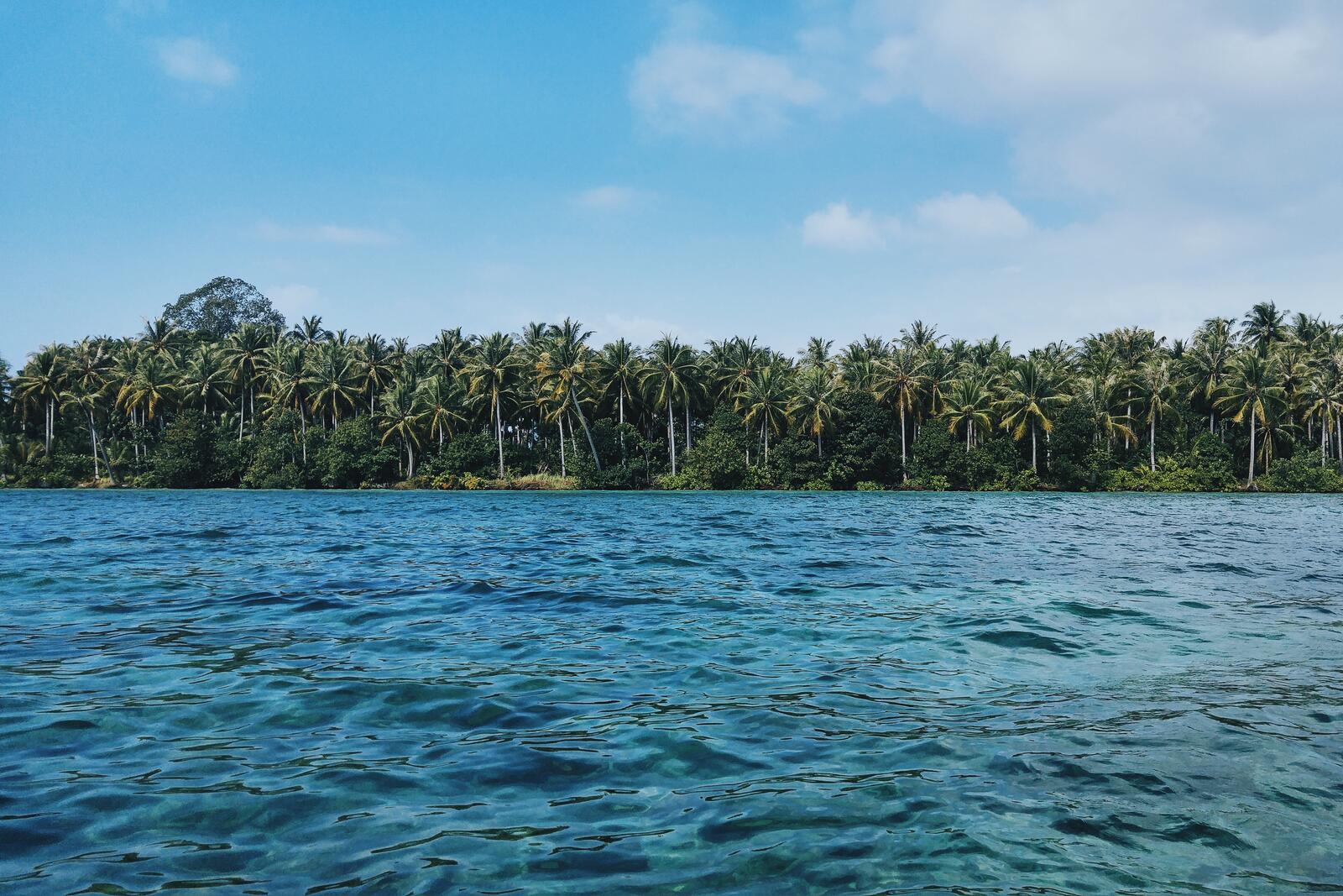 Бесплатное фото Пальмовый берег моря на острове