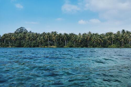 Пальмовый берег моря на острове