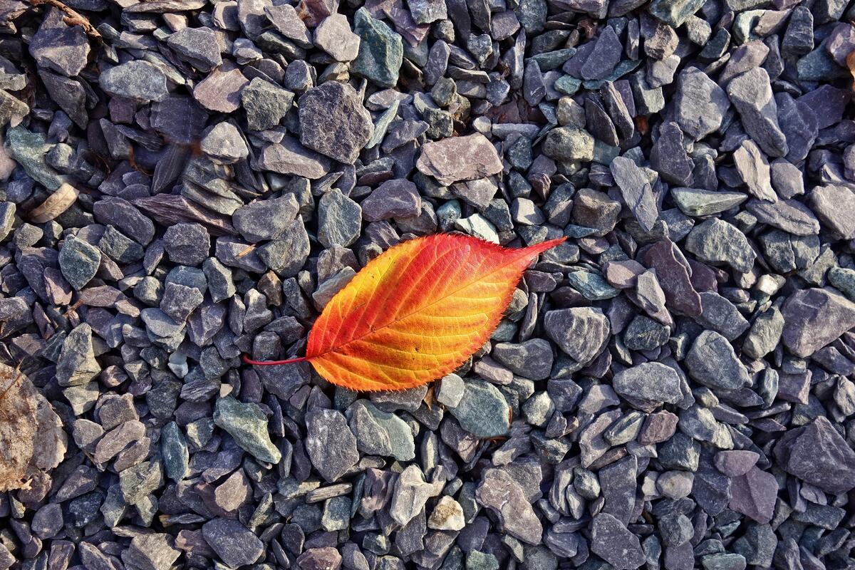 Осенний золотой лист лежит на мелких камнях